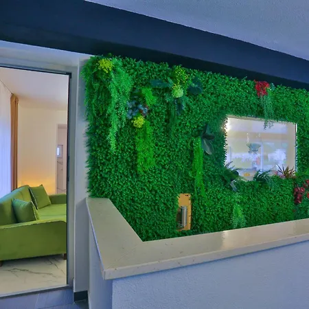 ***green Dream***- In * 斯普利特