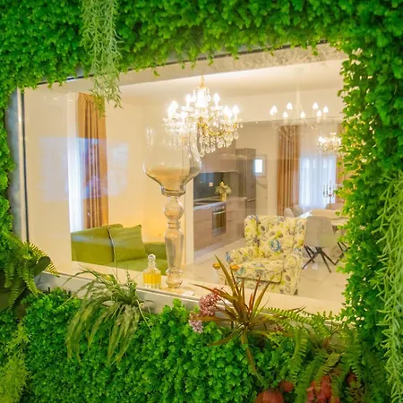 ***green Dream***- In * 斯普利特