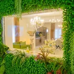 ***green Dream***- In * ספליט