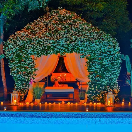 ***green Dream***- In سبليت