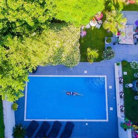 ***green Dream***- In *