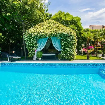 ***green Dream***- In *