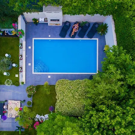 ***green Dream***- In Split