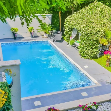 ***green Dream***- In Willa