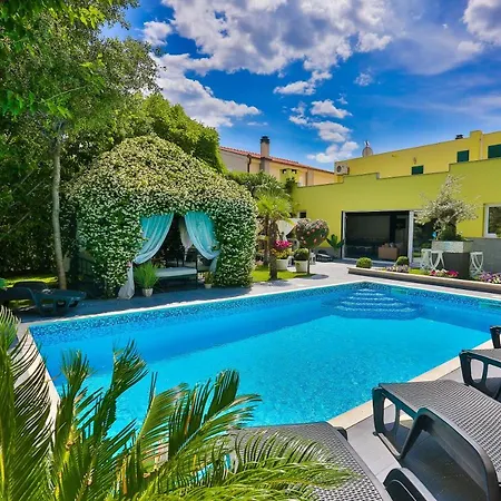 Willa ***green Dream***- In *