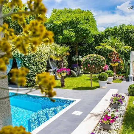 Willa ***green Dream***- In Split